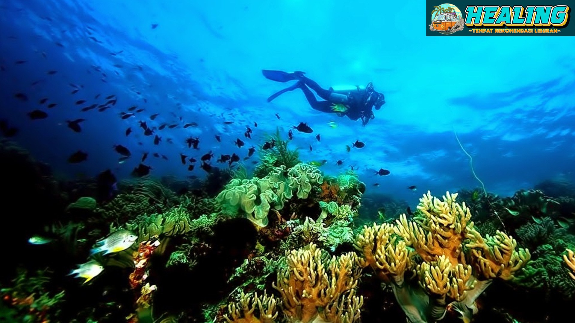Wakatobi National Park